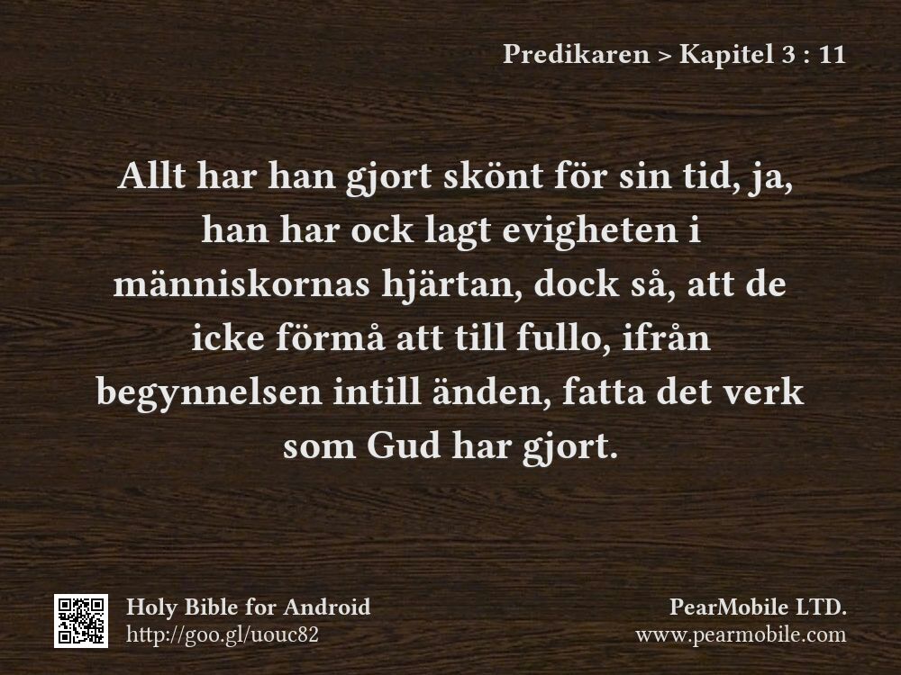 Predikaren, Kapitel 3:11